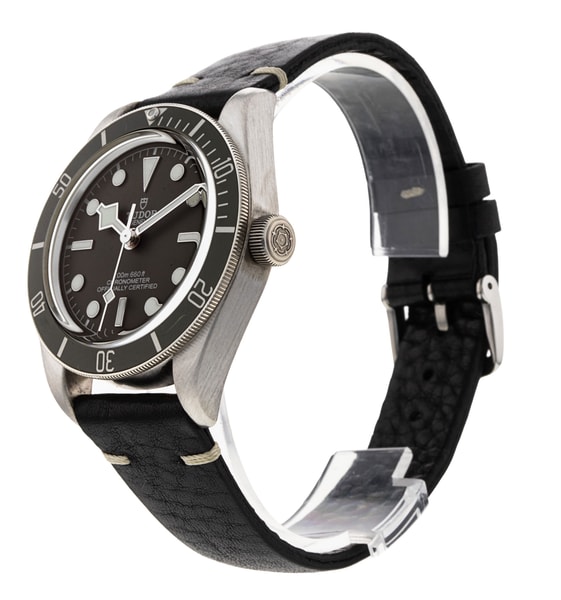 Tudor Black Bay 58 M79010SG-0002